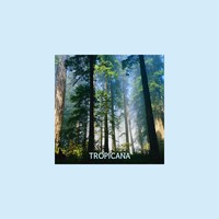 Picture for song 'Sava & Alek - Tropicana' by artist 'Sava and Alek'