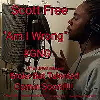 Picture for song 'Am I Wrong' by artist 'Scott Free GNOG'