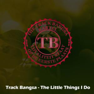 Picture for song 'Track Bangsa- The little things i do 85 BPM' by artist 'Track Bangsa'