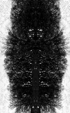 Picture for song 'possessed by the sun' by artist 'Unintelligible Noise'