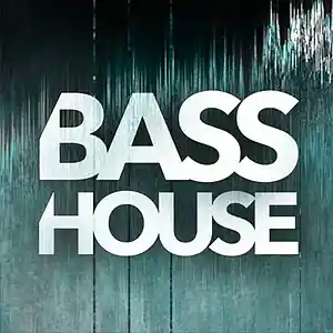 Picture for song 'Bass Rush' by artist 'Valdis Beatz'