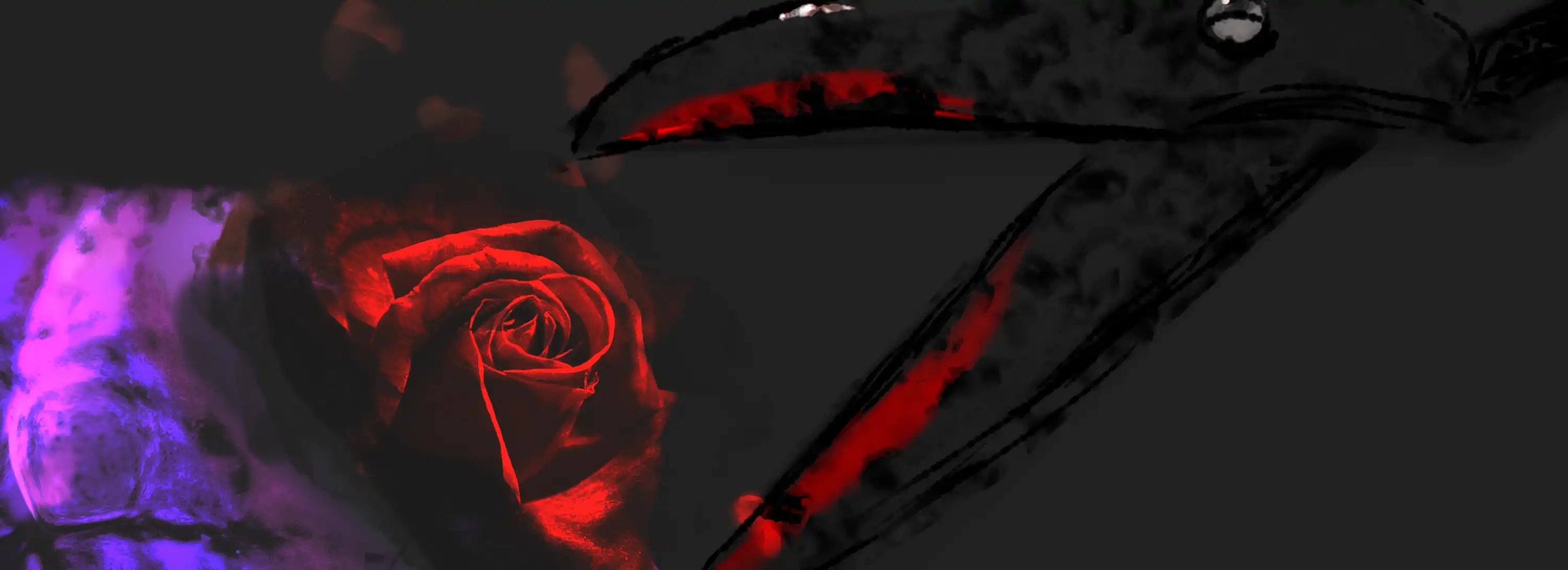 cover pic
