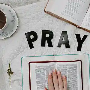 Picture for song 'Take My Life In Your Hand' by artist 'Armin Jasmin Miller'