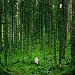 Picture for song 'Loss mich mol alähn' by artist 'Armin Jasmin Miller'
