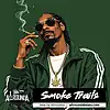 Picture for song 'SMOKE TRAILS (Smooth Chill Type Beat)' by artist 'ALLROUNDA Productions'