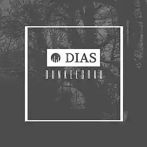 Picture for song 'Dunkelgrau (prod. by Magestick)' by artist 'Dias SHG'