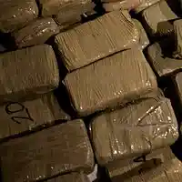 Picture for song 'rocks in the trap (rap instrumental)' by artist 'Gino Benz'