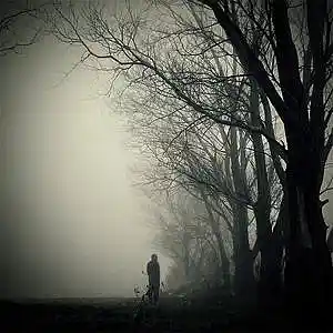 Picture for song 'El viaje' by artist 'Jaume Areste'