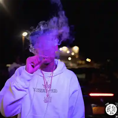 Picture for song '"Bank Run" - Splurge Type Beat Trap - MMXXV' by artist '2k5 jaay'