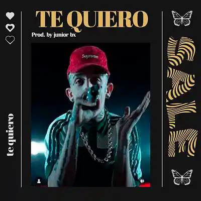 Picture for song 'TE QUIERO' by artist 'Junior on the beat'
