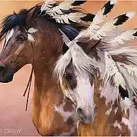 Picture for song 'Sunka Wakan' by artist 'Michael Duran'