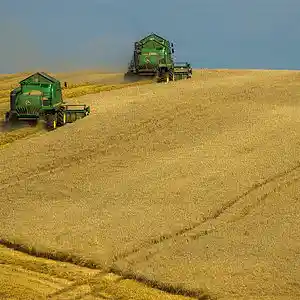 Picture for song 'Golden fields' by artist 'The Bloomberg Project'