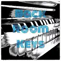 Picture for song 'Back Room Keys' by artist 'Turtle Necromancer'