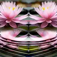 Picture for song 'BHAKTI' by artist 'AXIS MUNDI'