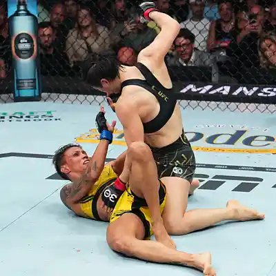 Picture for song 'combat sports' by artist 'elcreyo'