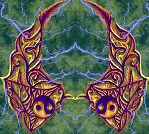 cover pic