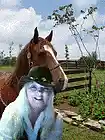 Picture for song 'HELLO MORNING' by artist 'Robin Perry Gospel Music'