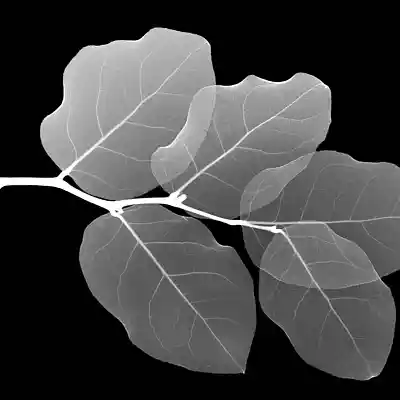 Picture for song 'pleasure' by artist 'sunfire beatz'