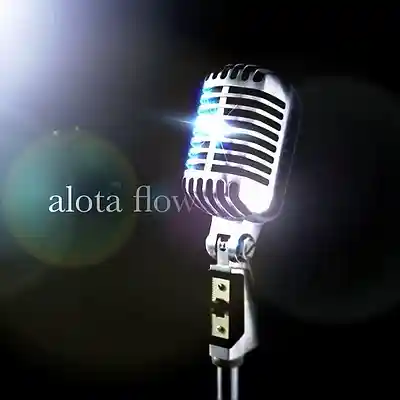 Picture for song 'you got mee.. 725976' by artist 'Alota Flow inc'