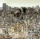 Picture for song 'Jungle.mp3' by artist 'BAKER BROWN'