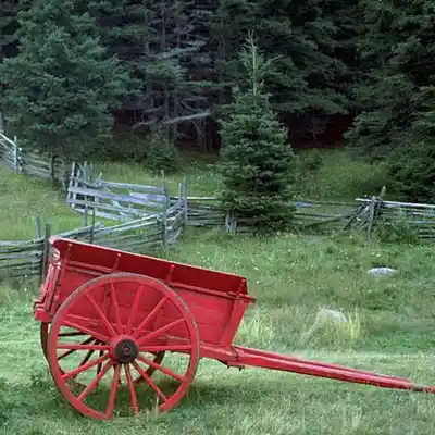 Picture for song 'Under A Shade Tree in the Mountain's Shadow' by artist 'Michael Fanning'