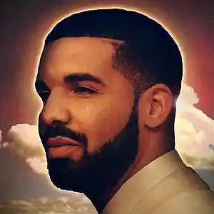 Picture for song '*Drake* Platinum' by artist 'Paperfall Bros'