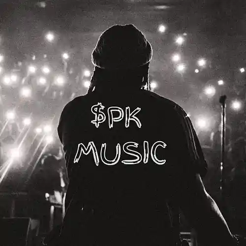 Picture for song 'Those Days (Connor Price Type Beat)' by artist 'SPK Music'