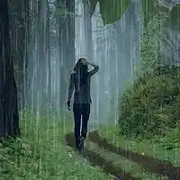 Picture for song 'Rainwalker' by artist 'Superbron'