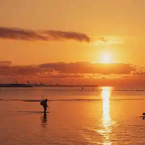 Picture for song '"No Problem" Beat for Sale' by artist 'whoDeanyBeatz'