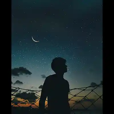 Picture for song 'We own the night 2012' by artist '30 years of Lasse Myhre'