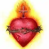 Picture for song '01 Dont Close Your Heart' by artist 'Beverley Tang'