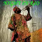 Picture for song 'Night In Rio.mp3' by artist 'Gino Goss and Jammajazz Band'