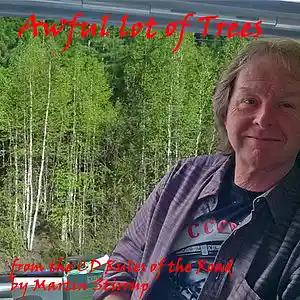 Picture for song 'ROR 19 Awful Lot of Trees' by artist 'martin stirrup'