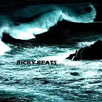 Picture for song 'Ricky Beats 01' by artist 'Ricky Beats'