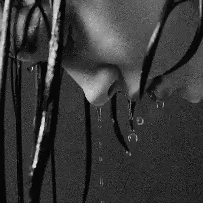 Picture for song 'Nevermind' by artist 'Beautiful Pain'