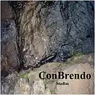 Picture for song 'Nowhere To Run - Original' by artist 'ConBrendo'