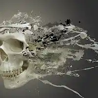 Picture for song 'Hungry Hungry Hippos' by artist 'J.FergProductions'