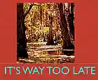 Picture for song 'IT'S WAY TOO LATE' by artist 'Mackie Humphries'