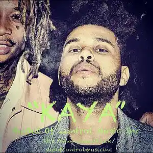 Picture for song 'KAYA' by artist 'Out Of Control Music Inc'