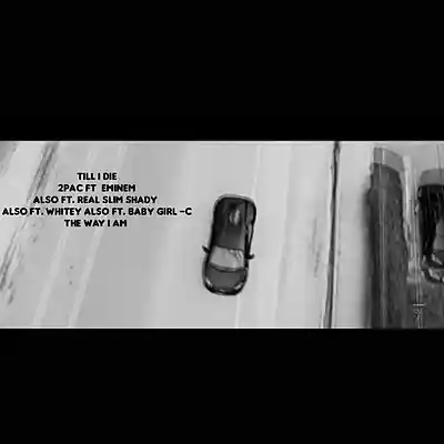 Picture for song 'tillidie2pAceminemftwhiteyftbabygirlc' by artist 'Eminem 2'