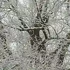 Picture for song 'Surprising Charm' by artist 'the silence bureau'