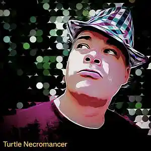 Picture for song 'TalkinBout' by artist 'Turtle Necromancer'
