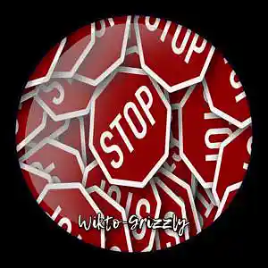 Picture for song 'WIKTO-GRIZZLY - stop' by artist 'WIKTO-GRIZZLY'