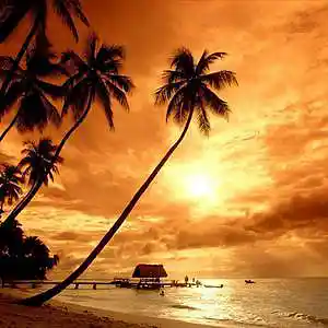 Picture for song 'Summer BUY 1 GET 3 FREE (Chill Type Beat)' by artist '33degrees'