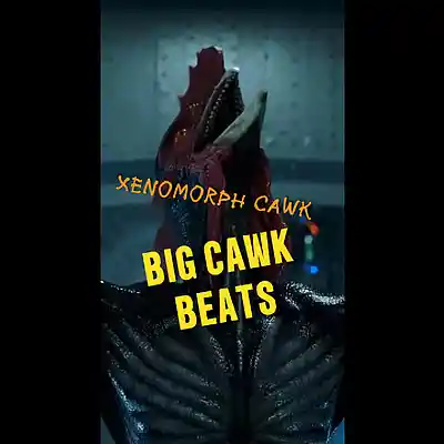 Picture for song 'Xenomorph Cawk' by artist 'Big Cawk Beats'