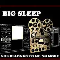 Picture for song 'She Belongs To Me No More' by artist 'BIG SLEEP'