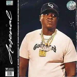 Picture for song 'Arsenal (Jadakiss Type Beat)' by artist 'BOGER'