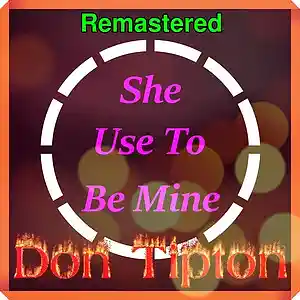 Picture for song 'She Used To Be Mine__Remastered' by artist 'Don Tipton'