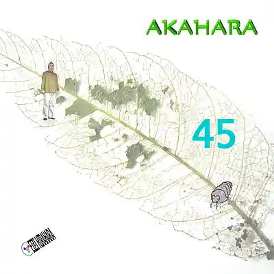 Picture for song 'AKAHARA 45' by artist 'Eizi Hirahara'