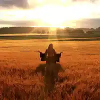 Picture for song ''Sunshine'' by artist 'Jethro Beats'